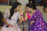 Ala Ninnu Cheri Movie Pre Release Event Photos
